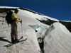 Lewis Glacier