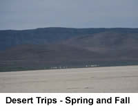 Desert Trips